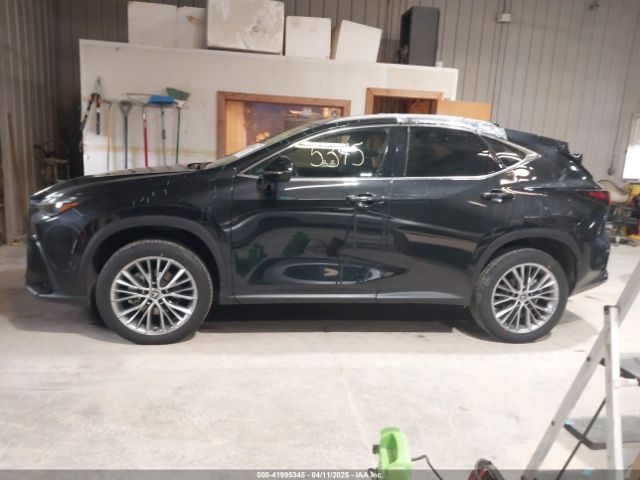 2T2HGCEZ2PC024528 Lexus Nx 350 Luxury