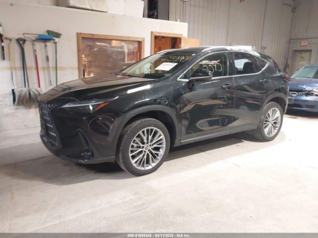 2T2HGCEZ2PC024528 Lexus Nx 350 Luxury