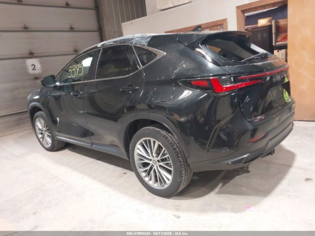 2T2HGCEZ2PC024528 Lexus Nx 350 Luxury
