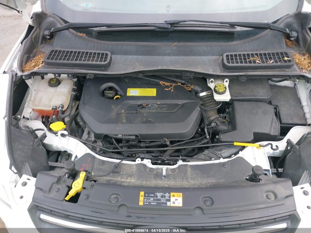 Ford ESCAPE SE 2014 1FMCU9GX3EUA26323 Image 10