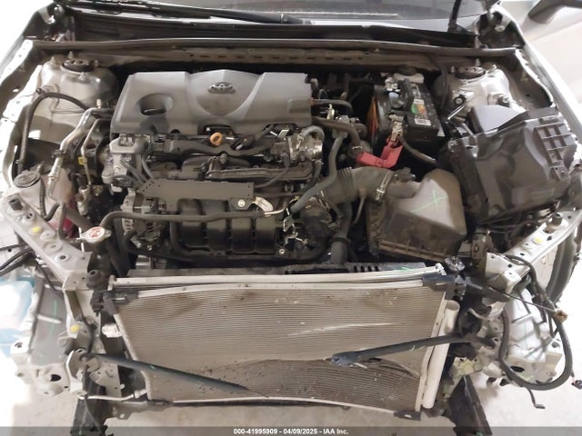4T1C11AK9MU462227 Toyota CAMRY LE