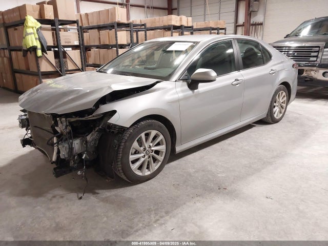 4T1C11AK9MU462227 Toyota CAMRY LE