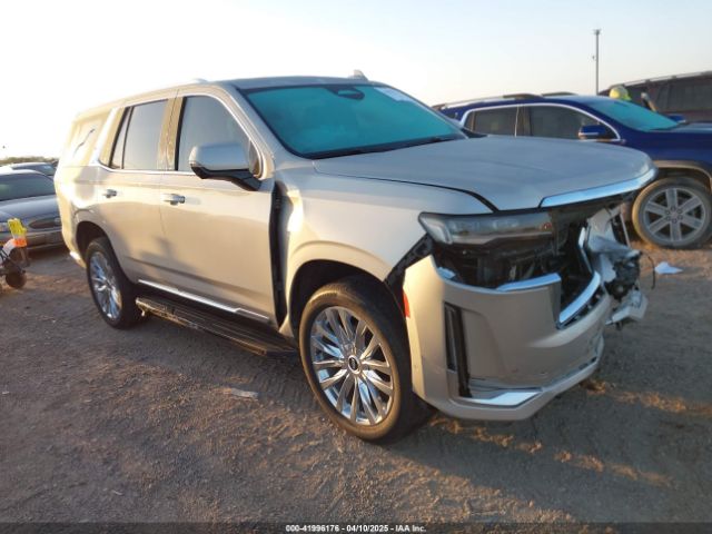 2024 CADILLAC ESCALADE 1GYS4BKL9RR241428