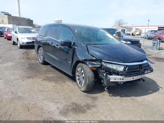 2024 HONDA ODYSSEY 5FNRL6H68RB061136