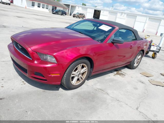 1ZVBP8EM8E5278957 Ford Mustang V6