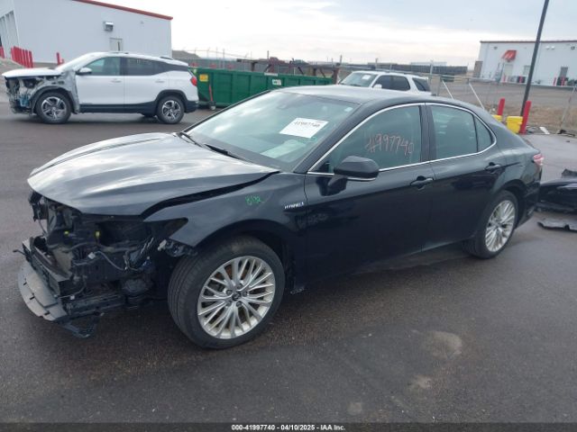 4T1B21HK0KU013174 Toyota Camry Hybrid Xle