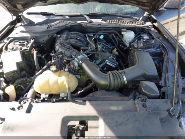1FA6P8AM3H5240282 Ford Mustang V6