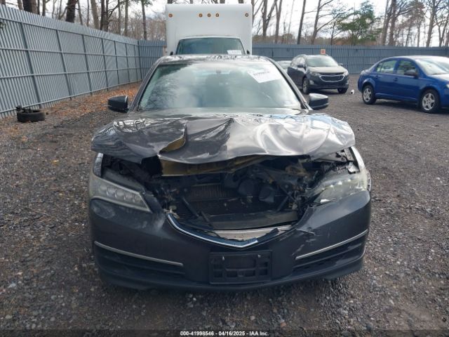 19UUB1F34FA007377 Acura TLX