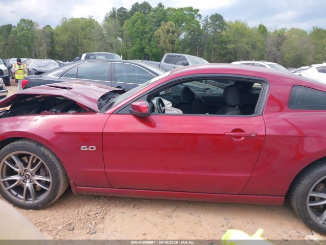 1ZVBP8CF1E5234951 Ford MUSTANG GT