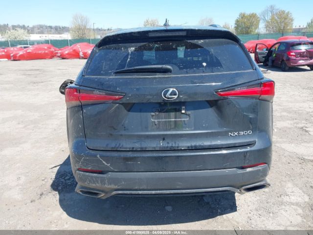 JTJDARDZXM2249781 Lexus NX 300