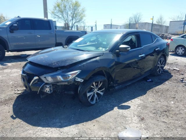 1N4AA6AP1JC366118 Nissan Maxima 3.5 Sv