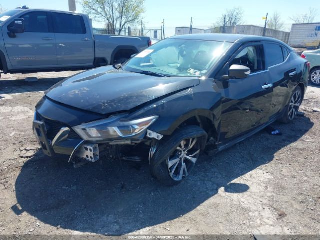 1N4AA6AP1JC366118 Nissan Maxima 3.5 Sv