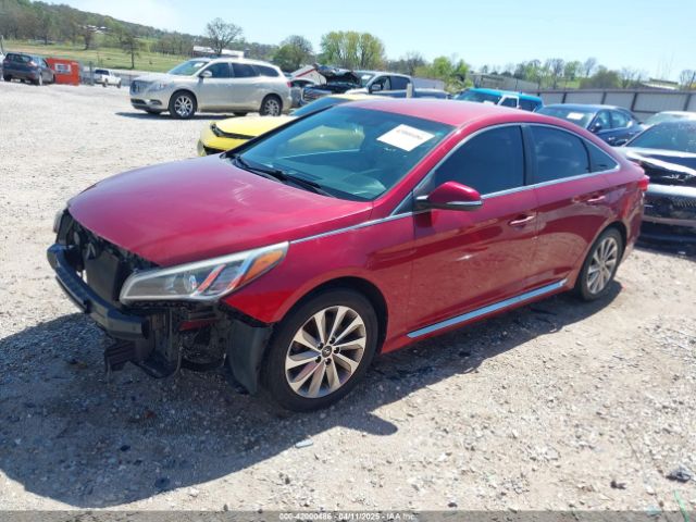 5NPE34AF7GH396416 Hyundai Sonata Sport