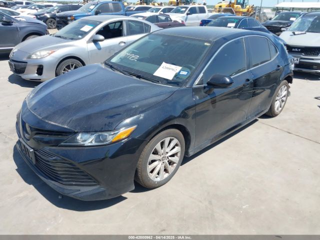 4T1C11AKXLU984010 Toyota CAMRY LE