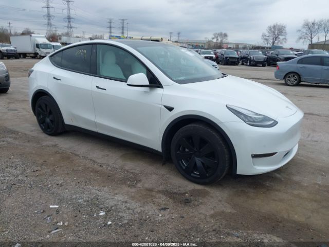 2021 TESLA MODEL Y 5YJYGDEE7MF141178 Photo 0