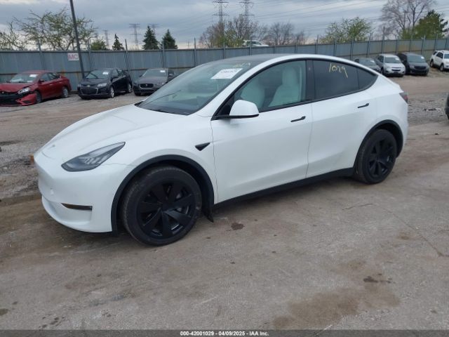2021 TESLA MODEL Y 5YJYGDEE7MF141178 Photo 1