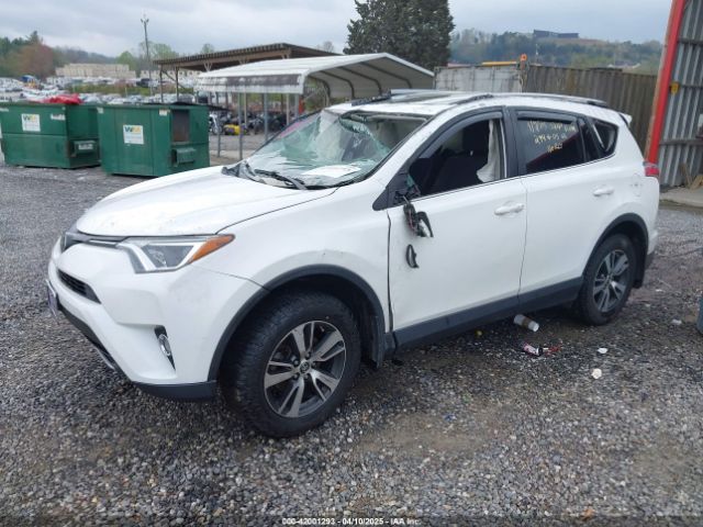 JTMRFREV6HJ702943 Toyota Rav4 Xle