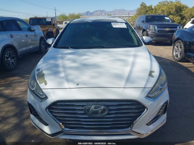5NPE34AF5JH597271 Hyundai SONATA SEL