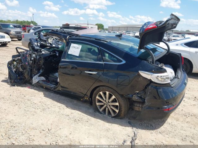 5NPE34AFXGH298996 Hyundai Sonata Sport/limited