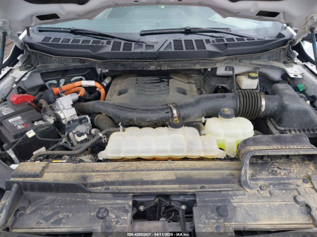 1FTFW1ED8PFD06493 Ford F-150 Xlt