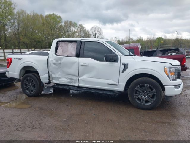1FTFW1ED8PFD06493 Ford F-150 Xlt