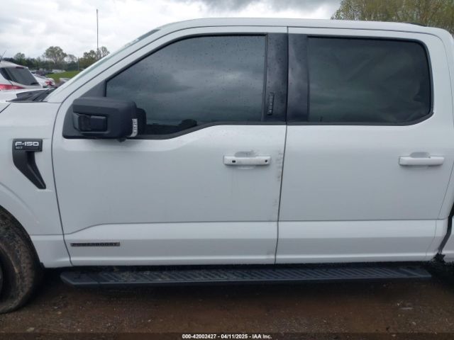 1FTFW1ED8PFD06493 Ford F-150 Xlt