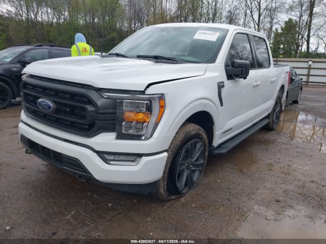 1FTFW1ED8PFD06493 Ford F-150 Xlt