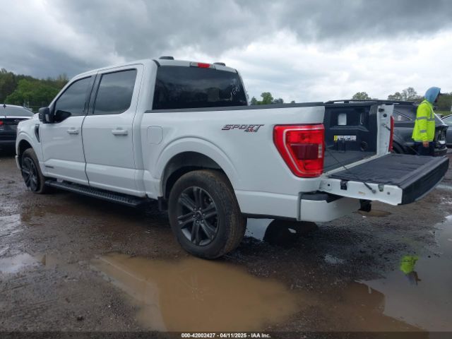 1FTFW1ED8PFD06493 Ford F-150 Xlt