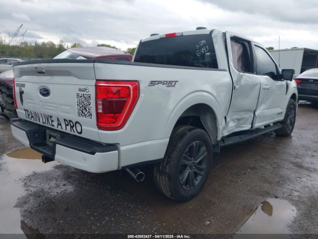 1FTFW1ED8PFD06493 Ford F-150 Xlt