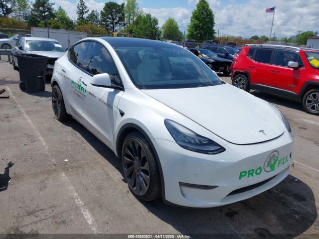 2020 TESLA MODEL Y 5YJYGDEF8LF025673