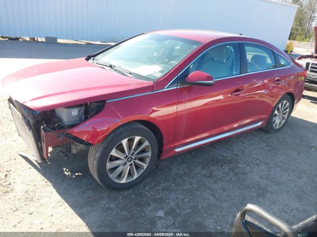 5NPE34AF6FH124468 Hyundai Sonata Sport