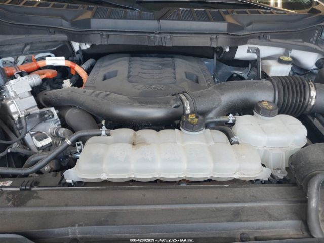 2023 FORD F-150 1FTFW1ED8PFD02332 Photo 9