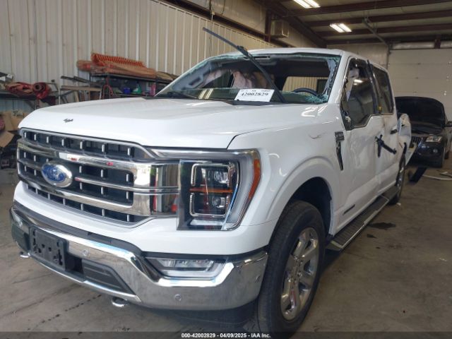 2023 FORD F-150 1FTFW1ED8PFD02332 Photo 1
