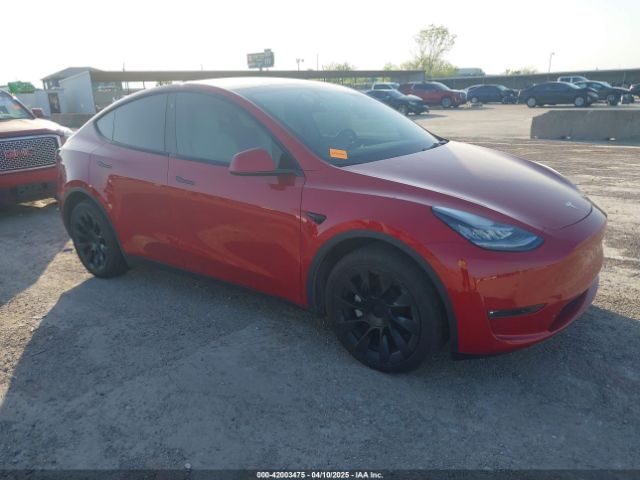 2021 TESLA MODEL Y 5YJYGDEE8MF210184