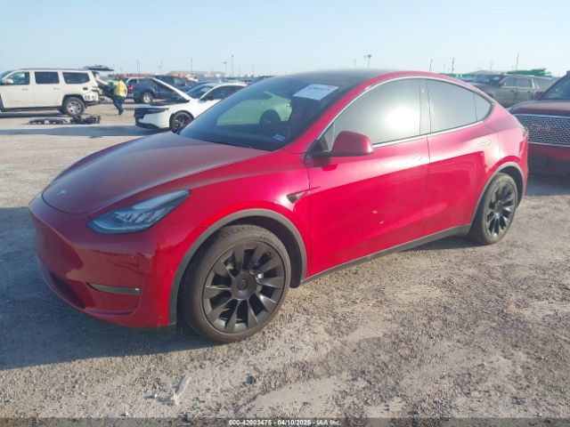 2021 TESLA MODEL Y 5YJYGDEE8MF210184 Photo 1
