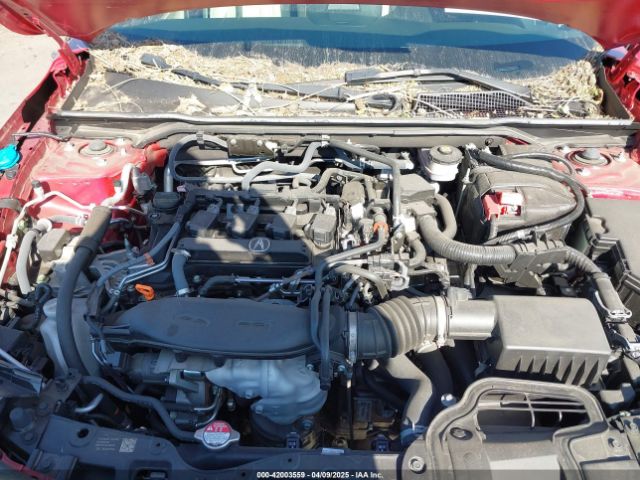 19UDE4H3XPA010257 Acura Integra A-spec