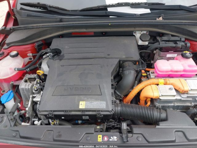 KMHC65LC2LU242490 Hyundai Ioniq Hybrid Blue