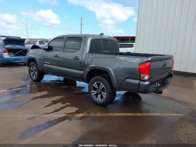 3TMCZ5AN9GM034326 Toyota Tacoma Trd Sport
