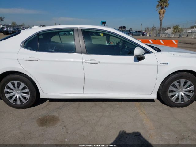 4T1C31AKXLU531127 Toyota Camry Le Hybrid