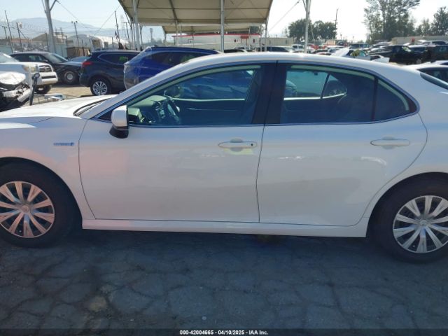4T1C31AKXLU531127 Toyota Camry Le Hybrid
