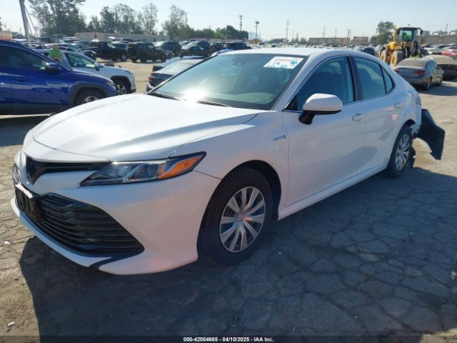 4T1C31AKXLU531127 Toyota Camry Le Hybrid