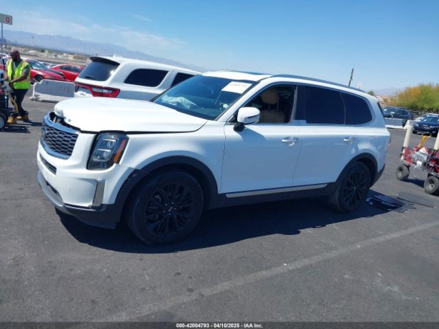 5XYP54HC7LG055081 KIA Telluride Sx