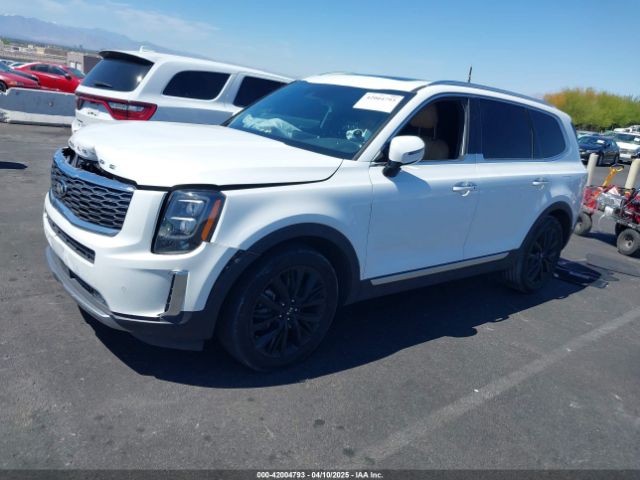 5XYP54HC7LG055081 KIA Telluride Sx