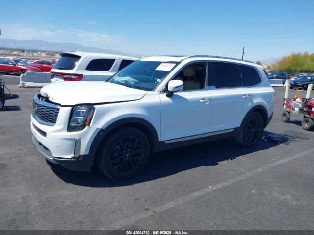 5XYP54HC7LG055081 KIA Telluride Sx