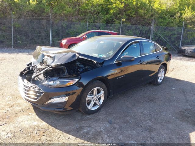 1G1ZC5ST3RF132806 Chevrolet Malibu Fwd 1fl