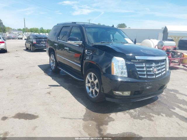 2008 CADILLAC ESCALADE 1GYEC63818R112129