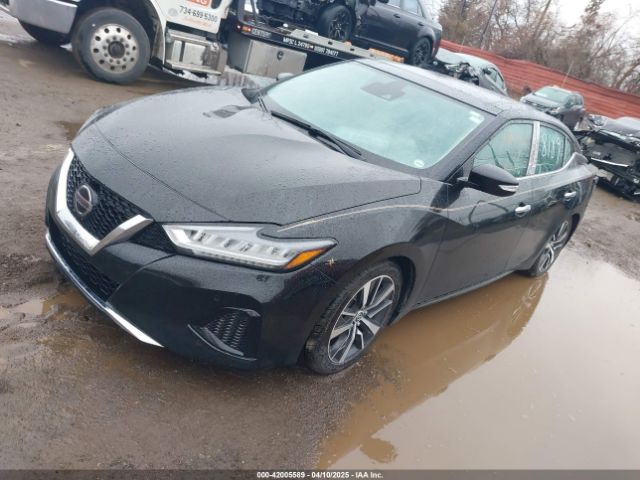 2020 NISSAN MAXIMA 1N4AA6DV0LC378189 Photo 1