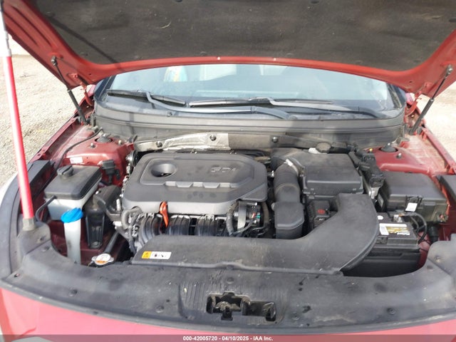 5NPE24AF0GH261359 Hyundai SONATA SE
