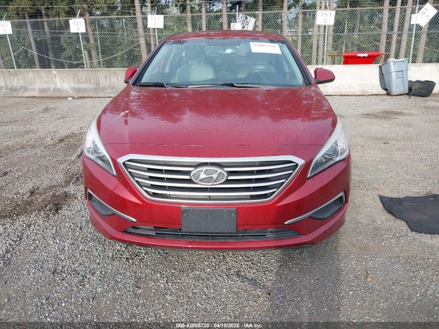5NPE24AF0GH261359 Hyundai SONATA SE