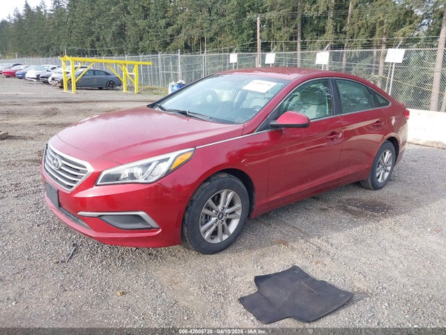 5NPE24AF0GH261359 Hyundai SONATA SE